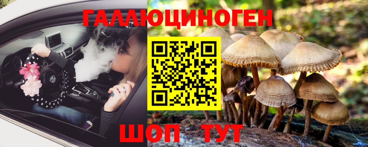 Галлюциногенные грибы ЛСД Дербент